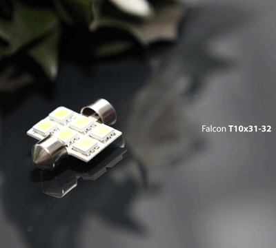 Falcon T10x31-32