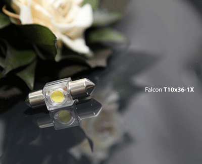 Falcon T10x36-1X