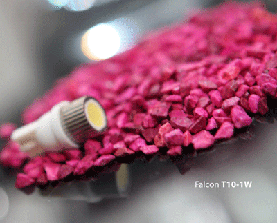 Falcon T10-1W