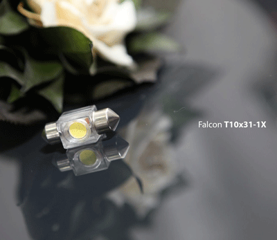 Falcon T10x31-1X