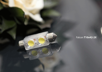 Falcon T10x42-2X