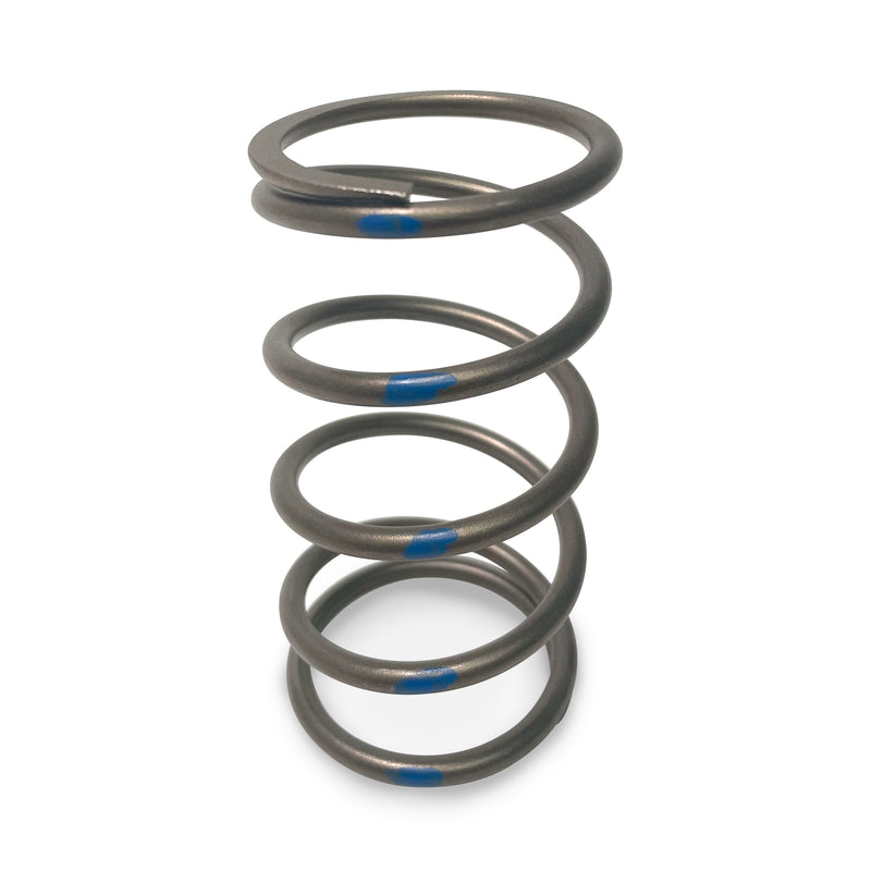 TAPP Primary Clutch Springs — 2