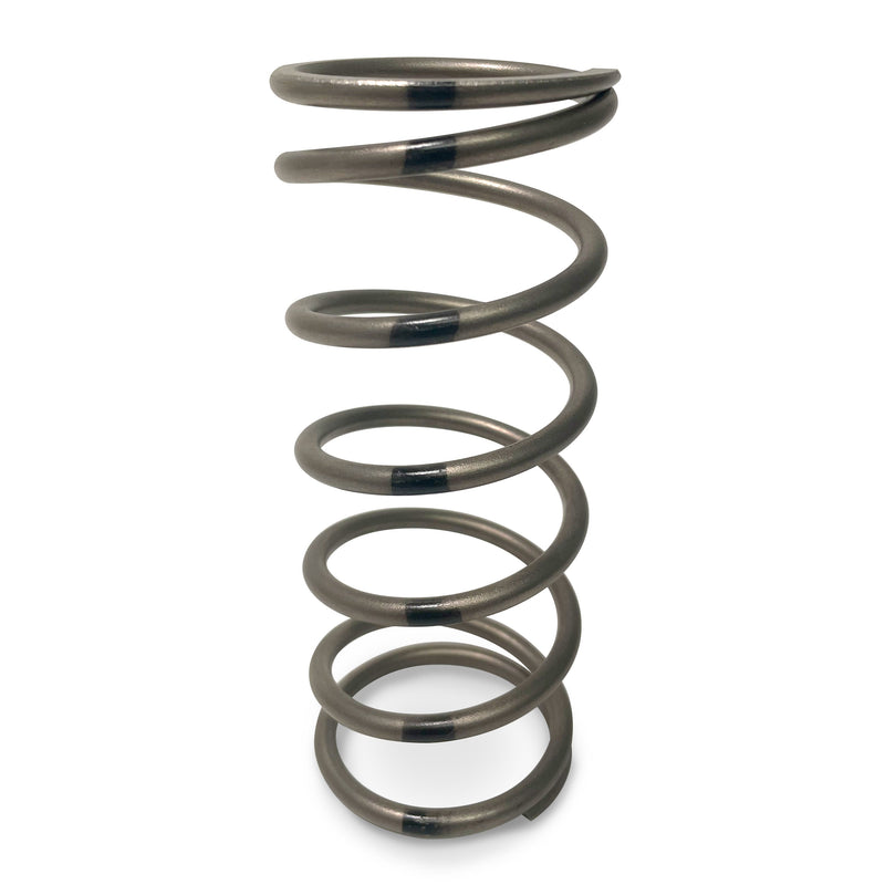 TAPP Primary Clutch Springs — 3