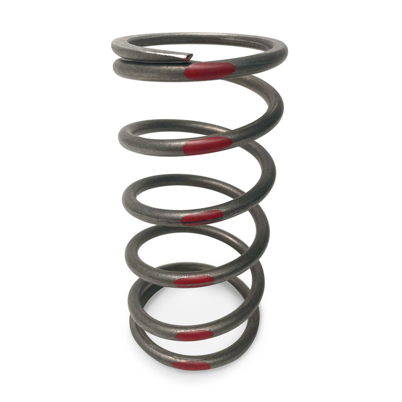 TAPP Primary Clutch Springs — 4